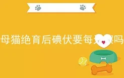 母猫绝育后碘伏要每天擦吗