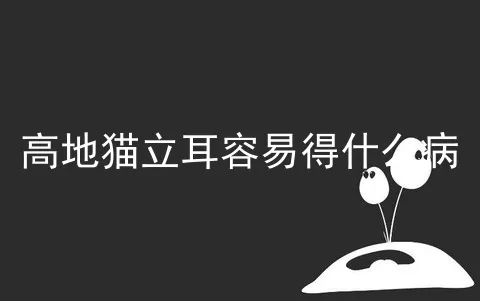 高地猫立耳容易得什么病