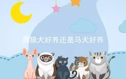 黑狼犬好养还是马犬好养