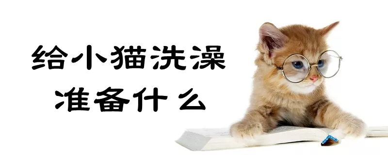 给小猫洗澡准备什么