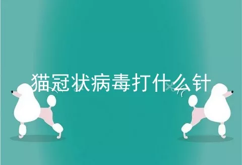 猫冠状病毒打什么针