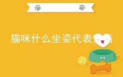 猫咪什么坐姿代表生病