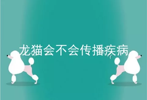 龙猫会不会传播疾病