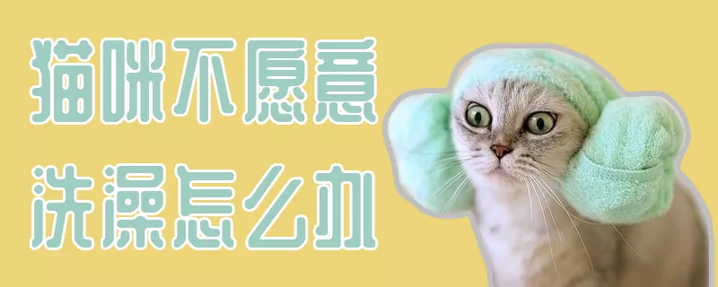 猫咪不愿意洗澡怎么办