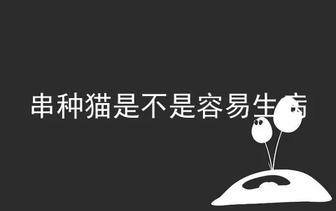 串种猫是不是容易生病