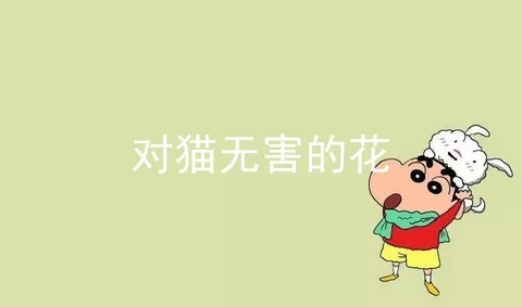 对猫无害的花