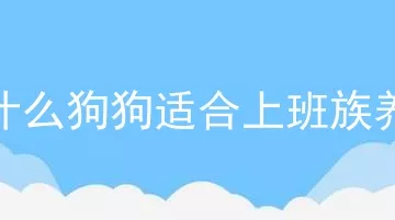 什么狗狗适合上班族养