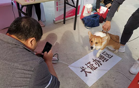 长沙市举办防控狂犬病，提升犬证办理意识