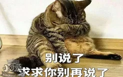 猫咪怀孕一个月的症状