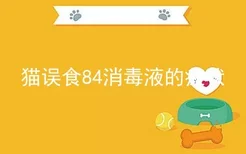 猫误食84消毒液的症状