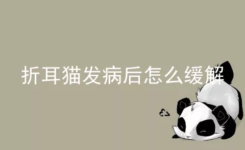 折耳猫发病后怎么缓解