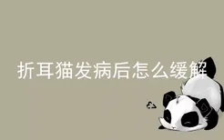 折耳猫发病后怎么缓解