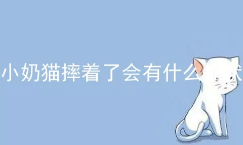 小奶猫摔着了会有什么症状