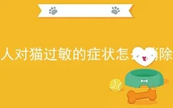 人对猫过敏的症状怎么消除