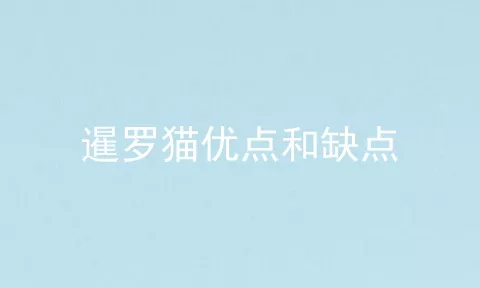 暹罗猫优点和缺点