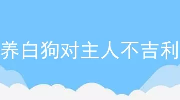 养白狗对主人不吉利