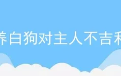 养白狗对主人不吉利