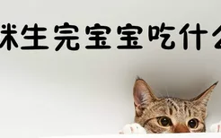 猫咪生完宝宝吃什么