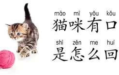 猫咪有口臭是怎么回事