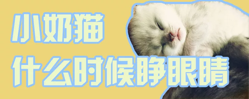 小奶猫什么时候睁眼睛