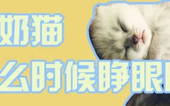 小奶猫什么时候睁眼睛