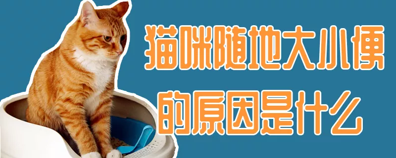 猫咪随地大小便的原因是什么