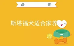 斯塔福犬适合家养吗