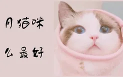 三个月猫咪吃什么最好