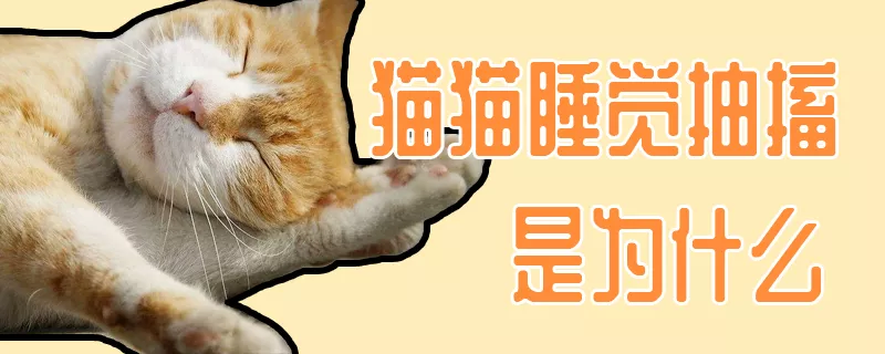 猫猫睡觉抽搐是为什么