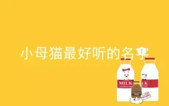 小母猫最好听的名字