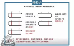 狗狗细小如何治疗 犬细小的判断准则及救治原理