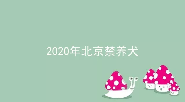 2020年北京禁养犬