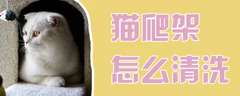 猫爬架怎么清洗