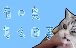 猫有口臭是怎么回事