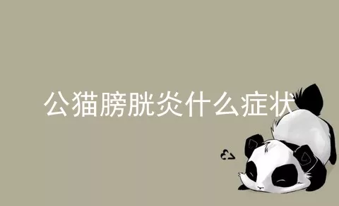 公猫膀胱炎什么症状