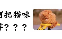 如何把猫咪养胖