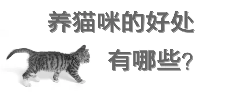 养猫咪的好处有哪些