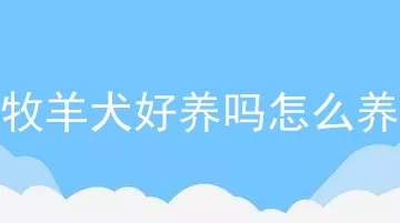 牧羊犬好养吗怎么养