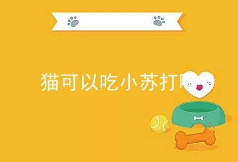 猫可以吃小苏打吗