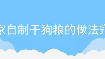 在家自制干狗粮的做法窍门