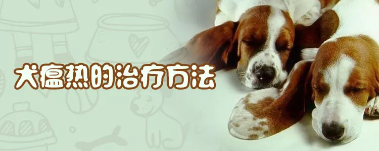 犬瘟热的治疗方法1