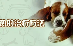 犬瘟热的治疗方法