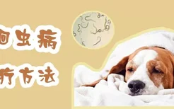 犬蛔虫病治疗方法