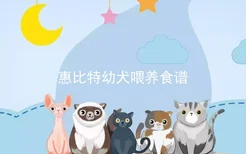 惠比特幼犬喂养食谱