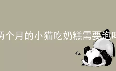 两个月的小猫吃奶糕需要泡吗