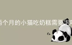 两个月的小猫吃奶糕需要泡吗