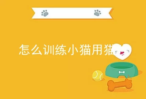 怎么训练小猫用猫砂