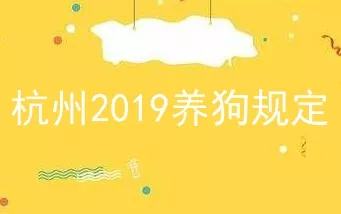 杭州2019养狗规定