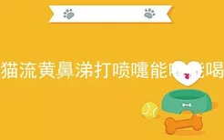 猫流黄鼻涕打喷嚏能吃能喝