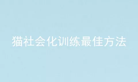 猫社会化训练最佳方法